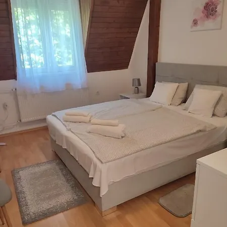 Guest house Veronika Heviz