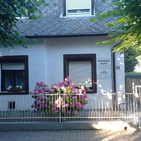 Guest house Veronika
