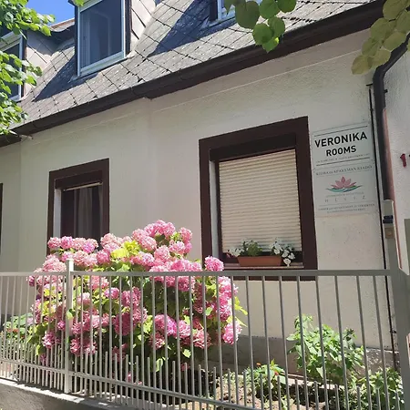 Guest house Veronika *